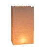 Paper Luminary Candle Lantern Bag