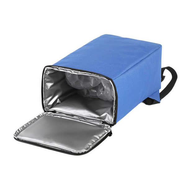 Insulated Oxford Picnic Wine Carrier Lunch Cooler Backpack