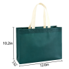 Eco Friendly Non Woven Gift Bag