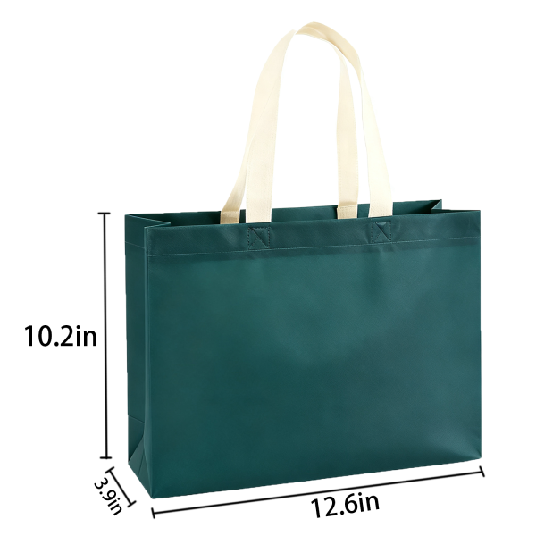 Eco Friendly Non Woven Gift Bag