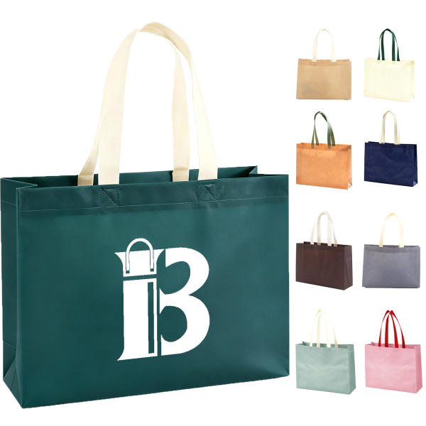 无纺布袋改良后logo图_1762230711559.png Eco Friendly Non Woven Gift Bag