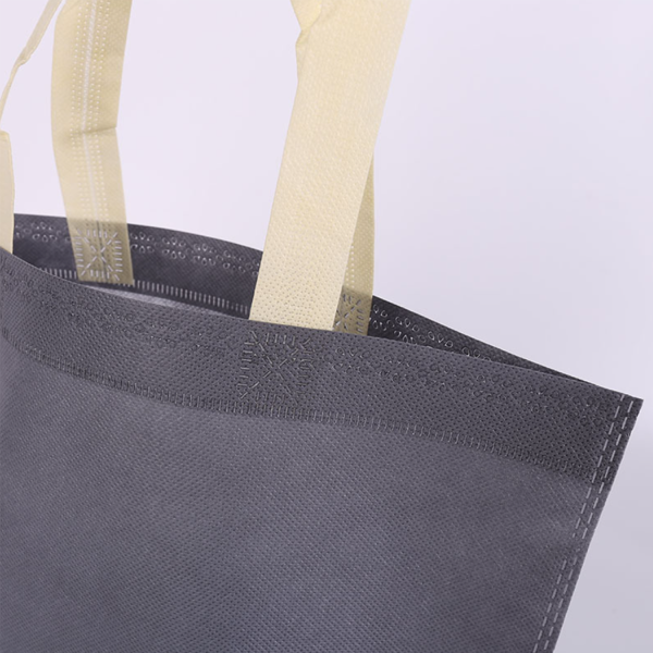 Eco Friendly Non Woven Gift Bag