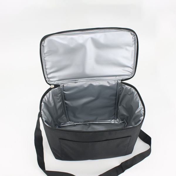 10 L Insulated Portable Outdoor Storage Cooler Tote Bag