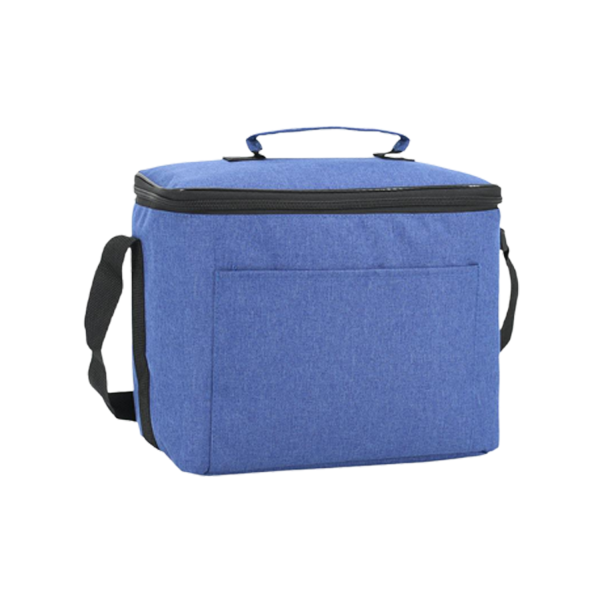 10 L Insulated Portable Outdoor Storage Cooler Tote Bag