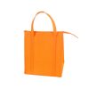 1_1779959428345.jpg Non-Woven Insulated Grocery Bag