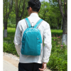 20L Lightweight Polyester Foldable Backpack