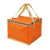 Non Woven Insulated Cooler with Zipper Closure