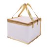 Non Woven Insulated Cooler with Zipper Closure
