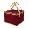 Non Woven Insulated Cooler with Zipper Closure